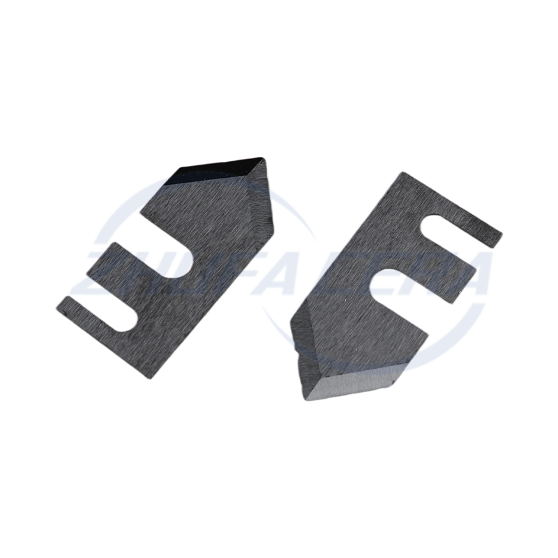 Siliciumcarbid keramiske specialformede dele