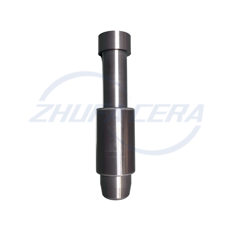 Siliciumcarbid keramisk positioneringsstift 1